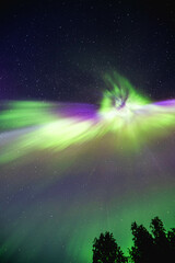 auroral corona