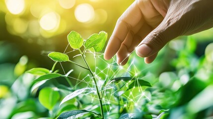 Hand Touching Plants with Biochemistry Structure Background, Showcasing Science of Plant Research and Nanotechnologya??s Role in Enhancing Crop Growth