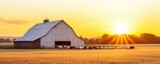 Livestock gathered near barn, expansive pastureland, rustic farm atmosphere
