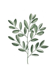 Green leaf branch illustration