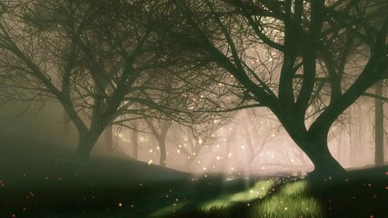 Wall Mural - mysterious woodland landscape with supernatural firefly lights flying over trail among leafless cree