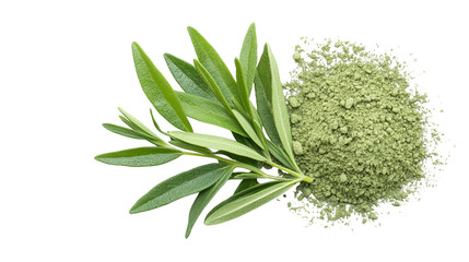 Fresh green herb leaves with natural powder isolated on a white background, perfect for culinary or wellness concepts.