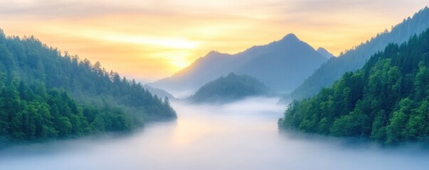 High angle view of a misty river in the valley between forested hills at dawn