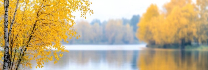 Gorgeous autumnal scenery with an overcast sky. Autumnal view of yellowed trees in a gloomy metropolitan park.