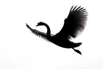 A silhouette of a swan in flight against a bright background.