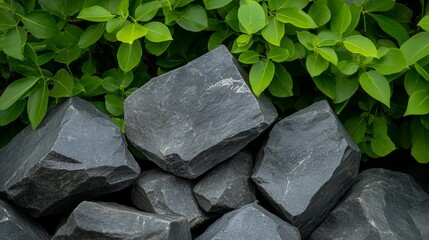 Sticker - A close-up shot showcasing a cluster of dark grey rocks nestled beneath a vibrant canopy of green foliage, symbolizing nature's strength, grounding, and the harmonious coexistence of contrasting eleme