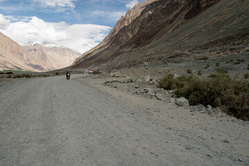 Wall Mural - Nubra Vally in Ladakh, India the scenic view of leh ladakh with free space