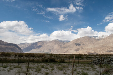 Wall Mural - Nubra Vally in Ladakh, India the scenic view of leh ladakh with free space