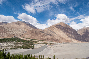 Wall Mural - Nubra Vally in Ladakh, India the scenic view of leh ladakh with free space