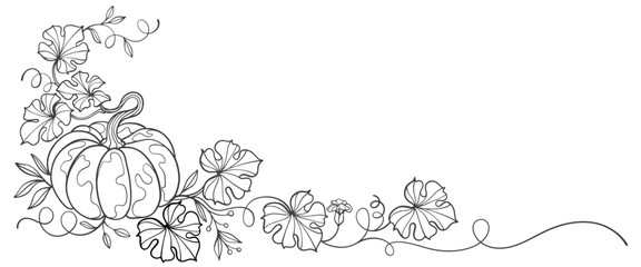 Pumpkin line art style illustration, vector eps