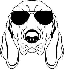 Wall Mural - Coonhound In Sunglasses