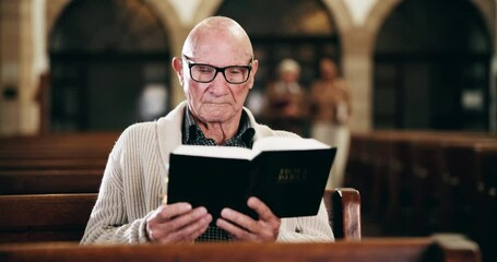 Wall Mural - Bible, prayer and old man in church with peace, thinking and spiritual respect in meditation. Praise, religion and elderly person in chapel reading holy book for morning service, worship and faith