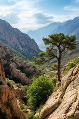 Canvas Print - A mountain range with a tree in the middle. The tree is surrounded by rocks and the mountains are covered in trees. The scene is peaceful and serene