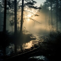 Sticker - a sun shining through trees in a forest. 