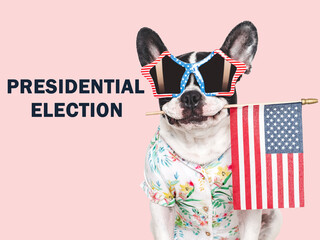 Wall Mural - United States elections. 2024 Presidential Election. Adorable puppy and American Flag. Close-up, indoors. Studio shot. Pet care concept. Beautiful Election day invitation card, isolated background