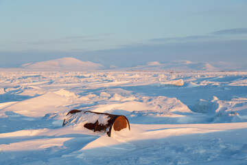 Wall Mural - a rusty barrel on the shores of a frozen sea in the arctic. winter arctic landscape. scrap metal amo