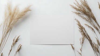 Poster - White Background with Dried Grass and a Blank Card