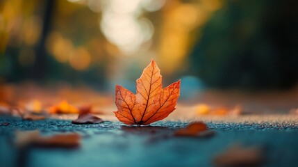 Wall Mural - Close-up of a beautiful landscape with a leaf prominently displayed in a shallow depth of field shot. A beautiful leaf lying on the ground in a warm and inviting environment.