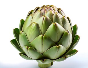 Wall Mural - png artichoke artichoke vegetable produce