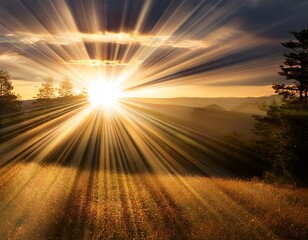 Wall Mural - bursts sunlight rays light