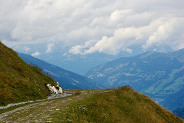 Wall Mural - view of an amazing mountain landscape with a stony path on a hazy day with gray clouds and fog over 