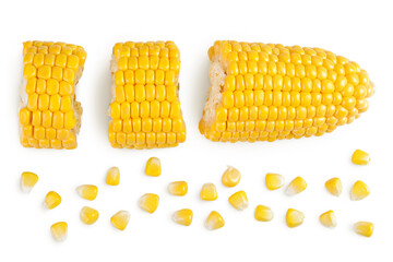 Wall Mural - ear of corn isolated on a white background with full depth of field. Top view. Flat lay