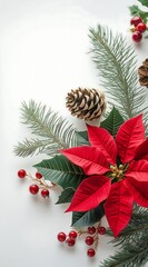 Christmas background with red poinsettia flowers, holly leaves and berries, pine cones, and Christmas decorations on a white background