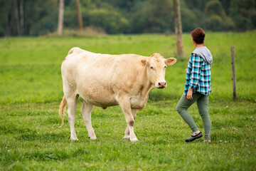 woman in a blue plaid shirt interacts with a large beige cow in a green field, the cow looking at the woman closely