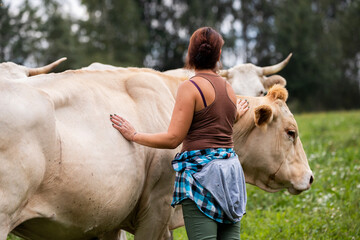 A woman places her hand gently on the back of a white cow in a green field, showing a close bond between human and animal.