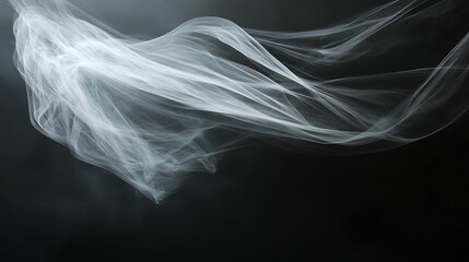 Poster - Abstract White Smoke Swirls Against a Black Background