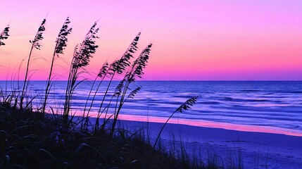 Poster -  Pink & purple sunset on the beach w/ sea oats in fg & ocean bg