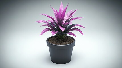 Wall Mural -   A potted plant with a purple flower on a white background featuring a shadow of the plant centered in the pot