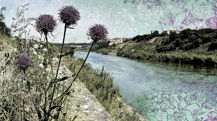 Canvas Print -   A river painting with purple foreground flowers and a distant bridge in the background