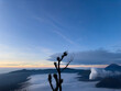 © Andy - Sunrise on Mount Penanjakan looking towards Mt Bromo, Java, Indonesia