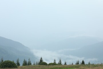 Wall Mural - Picturesque view of beautiful mountains covered with fog