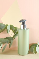 Wall Mural - Shampoo in bottle and green eucalyptus leaves on color background