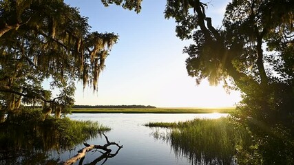 Wall Mural - Low country landscape at sunset