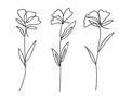 © Khulqi Design - Single line art vector flower illustration collection.