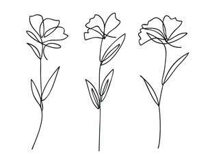 Poster - Single line art vector flower illustration collection.