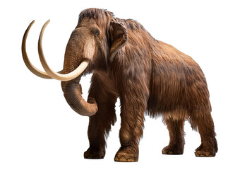 Mammoth Isolated on transparent or white background