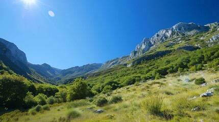 Wall Mural - A scenic view of a mountain valley with lush green vegetation under a bright blue sky with the sun shining.