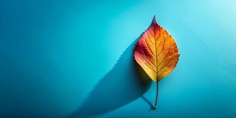 Vibrant colorful leaf on gray, blue, and light blue background with a shadow