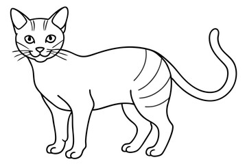 Canvas Print - cat line art illustration