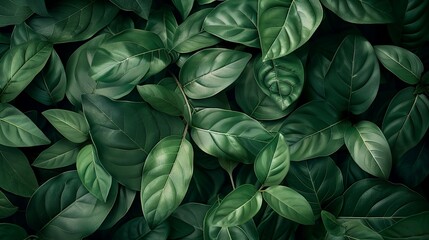 Lush Green Leaves: A Natural Background Texture