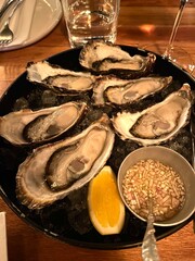 oysters