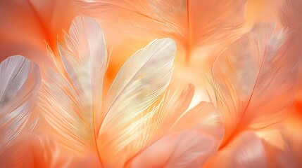 Wall Mural -   Close-up image of a pink-white blossom with feathers in its center, situated between the petals