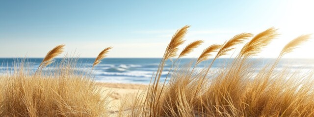 Coastal dune landscape, with sea oats swaying in the breeze, under bright sunlight