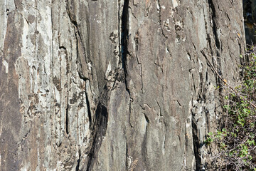 Rock texture. Natural background. Natural background.