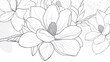 © BlockBrushstrokes - Magnolia Line Art Floral Illustration Flower Coloring Page with Hand Drawn Magnolia Design Botanical Coloring Sheet Line Art Floral Design for Coloring