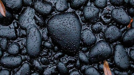 Wall Mural -   A high-resolution image of a water droplet cluster on a dark background, featuring a brown leaf in the center